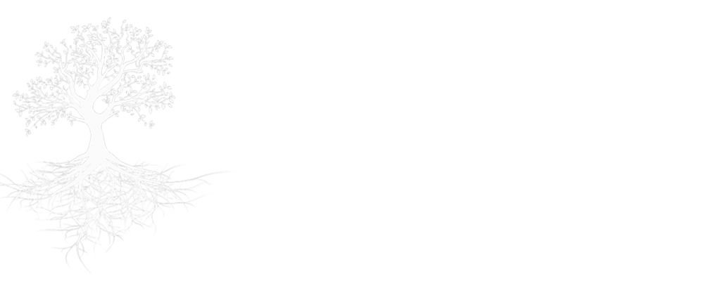 Barbara Woods Barnes, Florida Diplomate Jungian Analyst